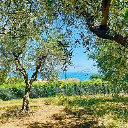 רוזטו דליי אברוצי Villa In Collina Vista Mare מראה חיצוני תמונה
