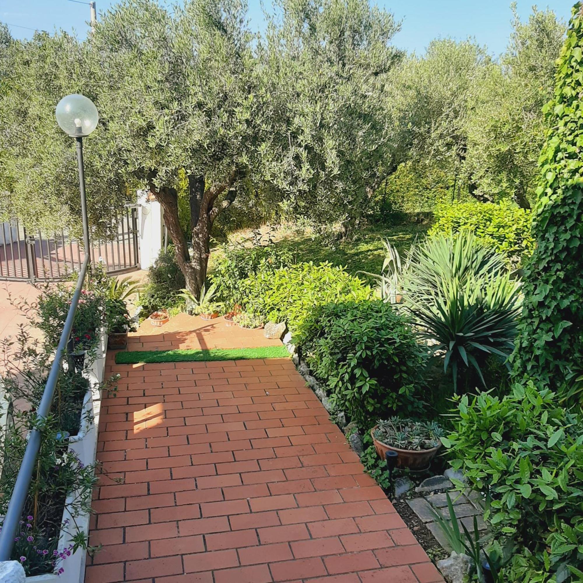 רוזטו דליי אברוצי Villa In Collina Vista Mare מראה חיצוני תמונה