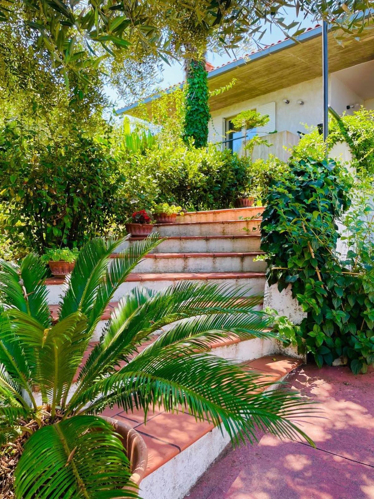 רוזטו דליי אברוצי Villa In Collina Vista Mare מראה חיצוני תמונה