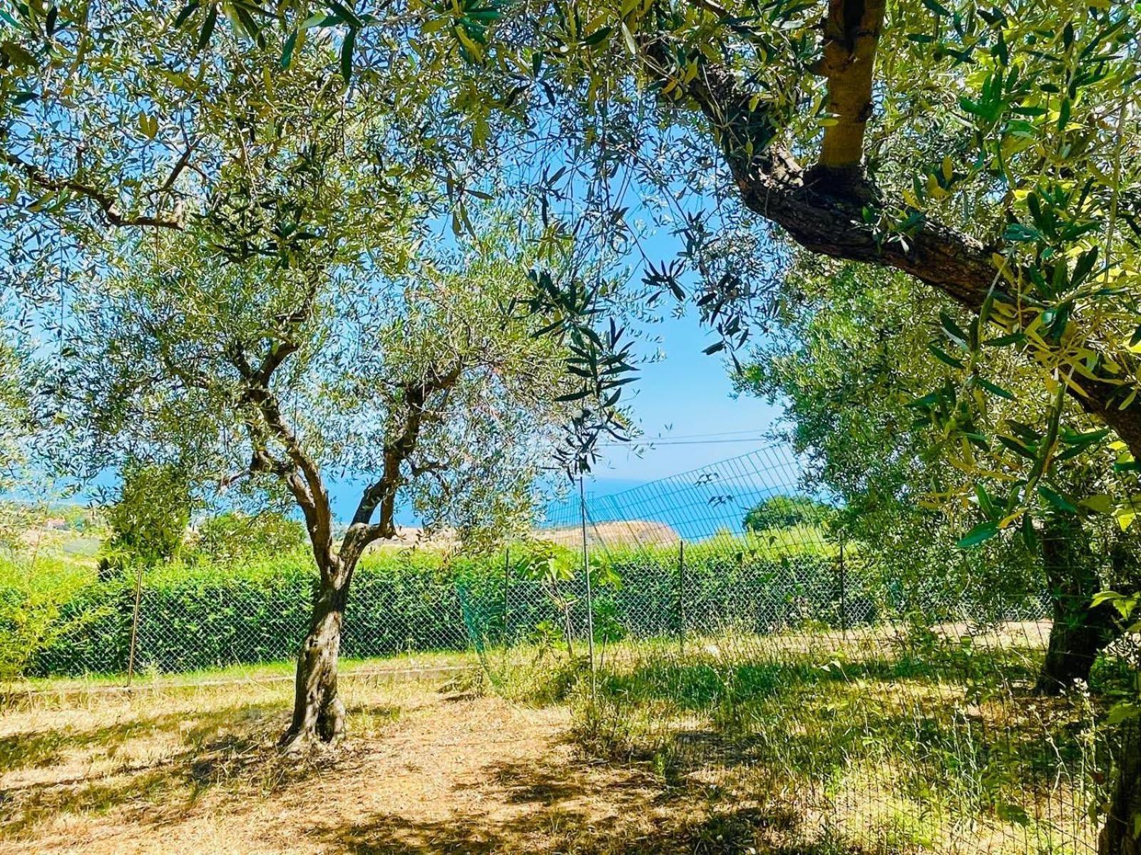 רוזטו דליי אברוצי Villa In Collina Vista Mare מראה חיצוני תמונה