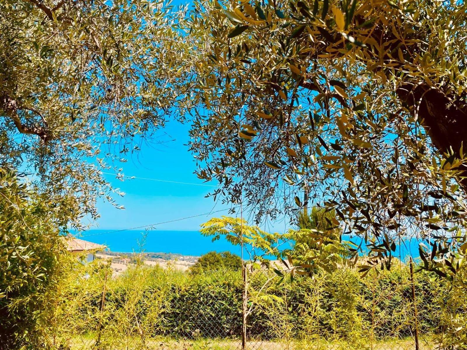 רוזטו דליי אברוצי Villa In Collina Vista Mare מראה חיצוני תמונה